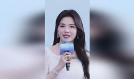 刘涛视频,展现魅力与才华的精彩瞬间